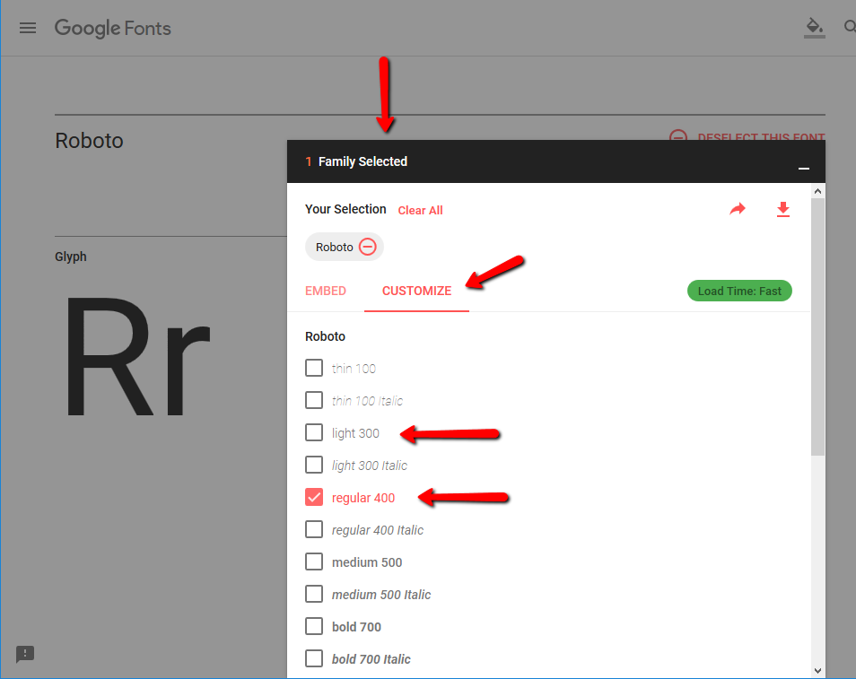 Google Fonts Customize Tab