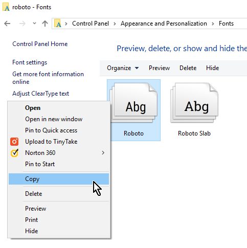 copying actual font files