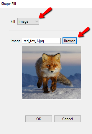 Shape Fill Options: Image