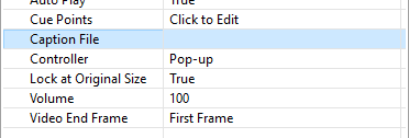 Video Object Properties: Caption File